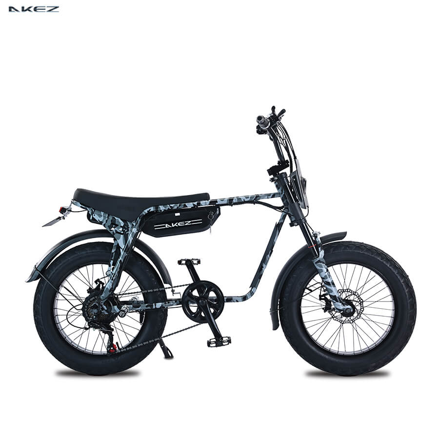 Akez ZX 750 W, 13 ah 48V
