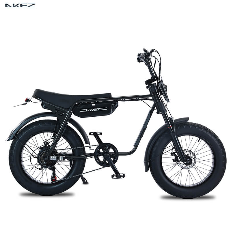 Akez ZX 750 W, 13 ah 48V